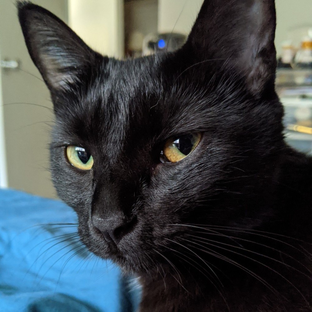 Meet your Posher, Bret